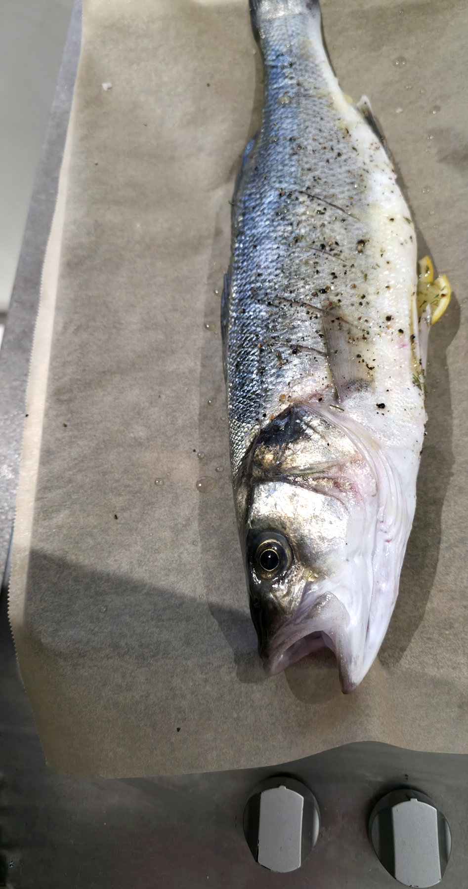 Whole sea bass laid out on baking parchment ready to prepare and cook