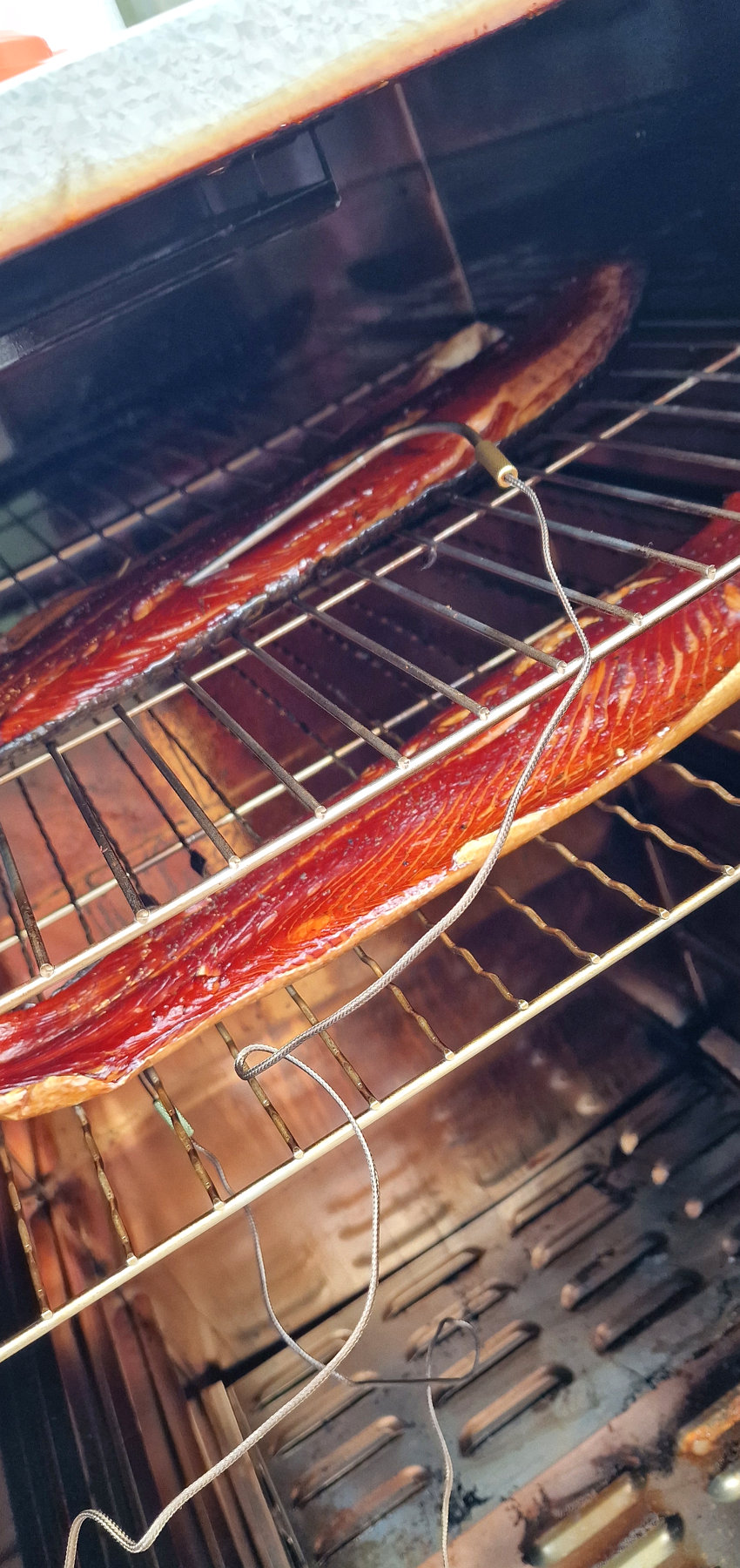 Salmon sides on a rack inside the Borniak electric smoker